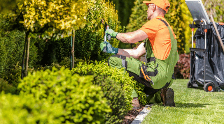 Benefits of Native Plants in Landscaping