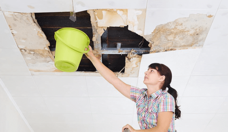 -Finding the Right Water Damage Restoration Company: A Comprehensive Selection Guide