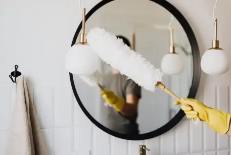 How to Get Rid of Gnats in the Bathroom as a Landlord