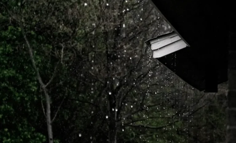 The Seasonal Checklist: Preparing Your Home for Heavy Spring Rains
